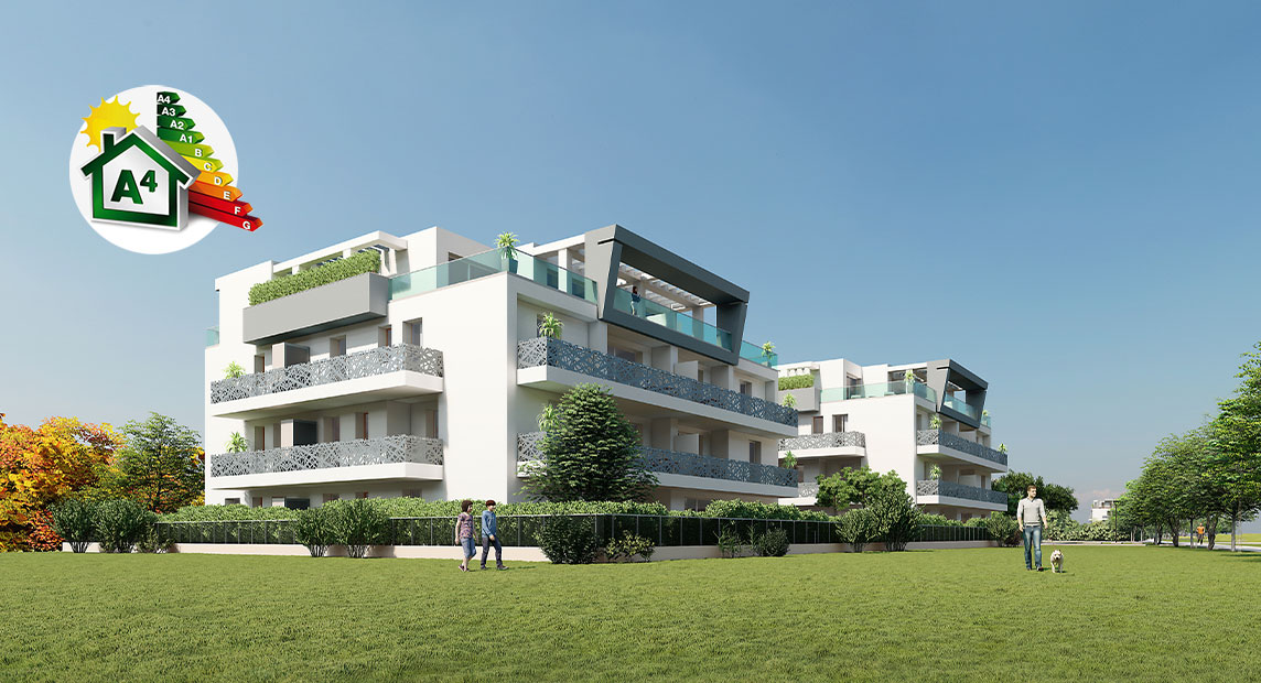 VISTA_AGG2024-1